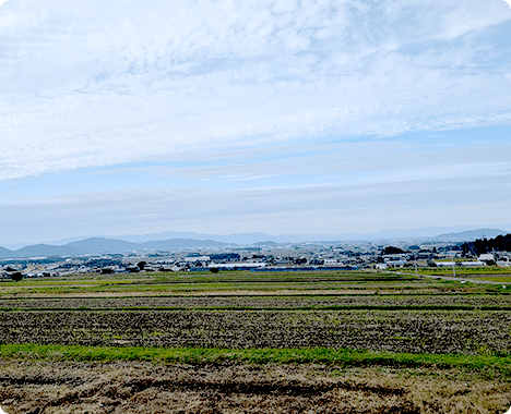 ため池からの景色