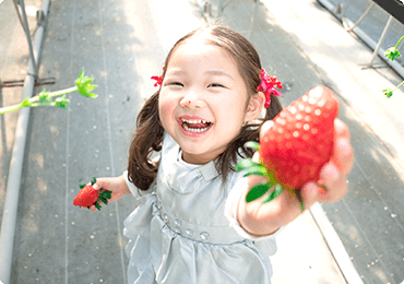 藤澤いちご園